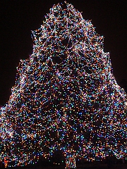 071 Toledo Zoo Light Show [2008 Dec 27]